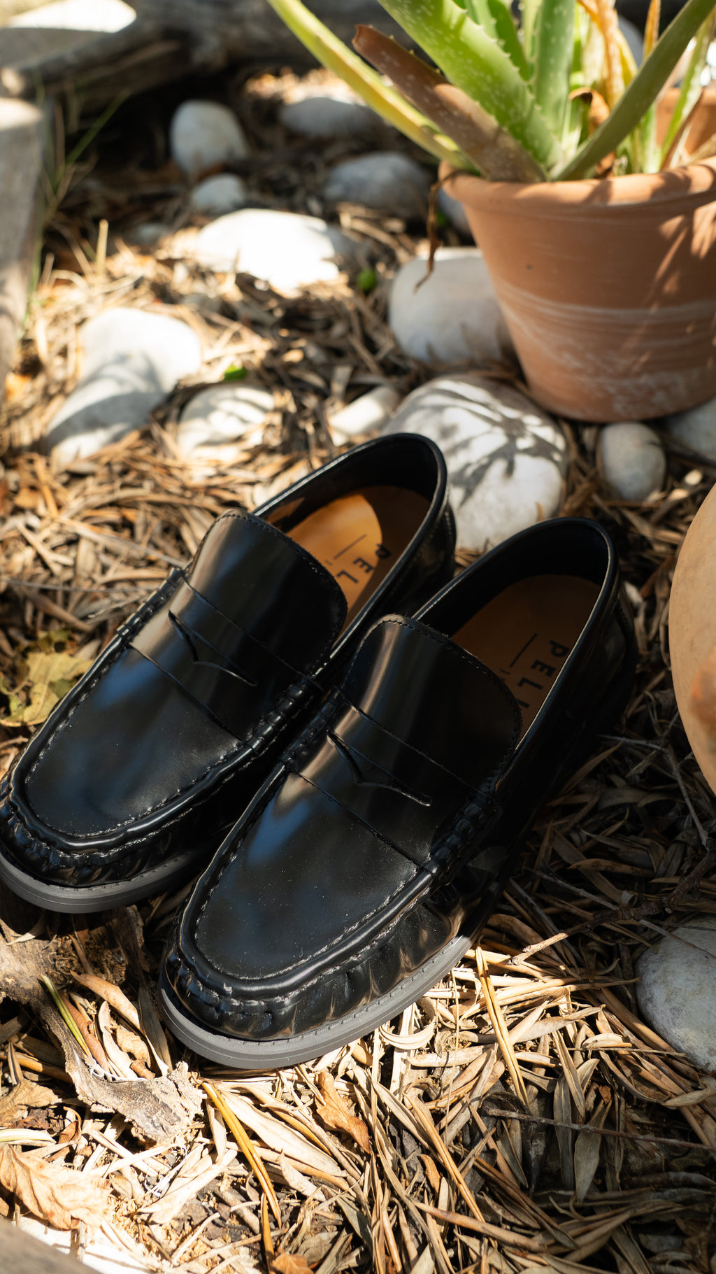 Chaussures PILLARA