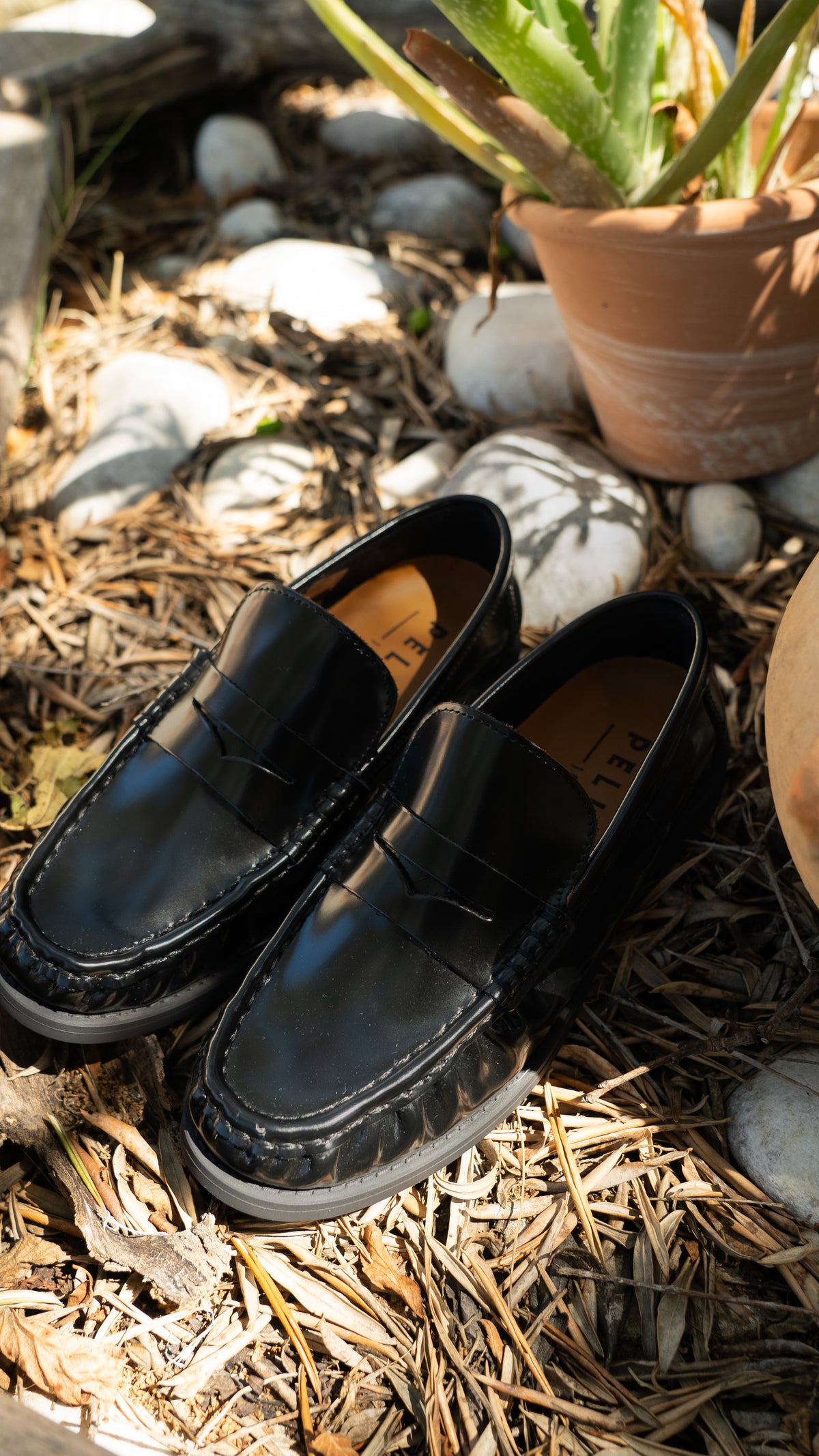 Chaussures PILLARA