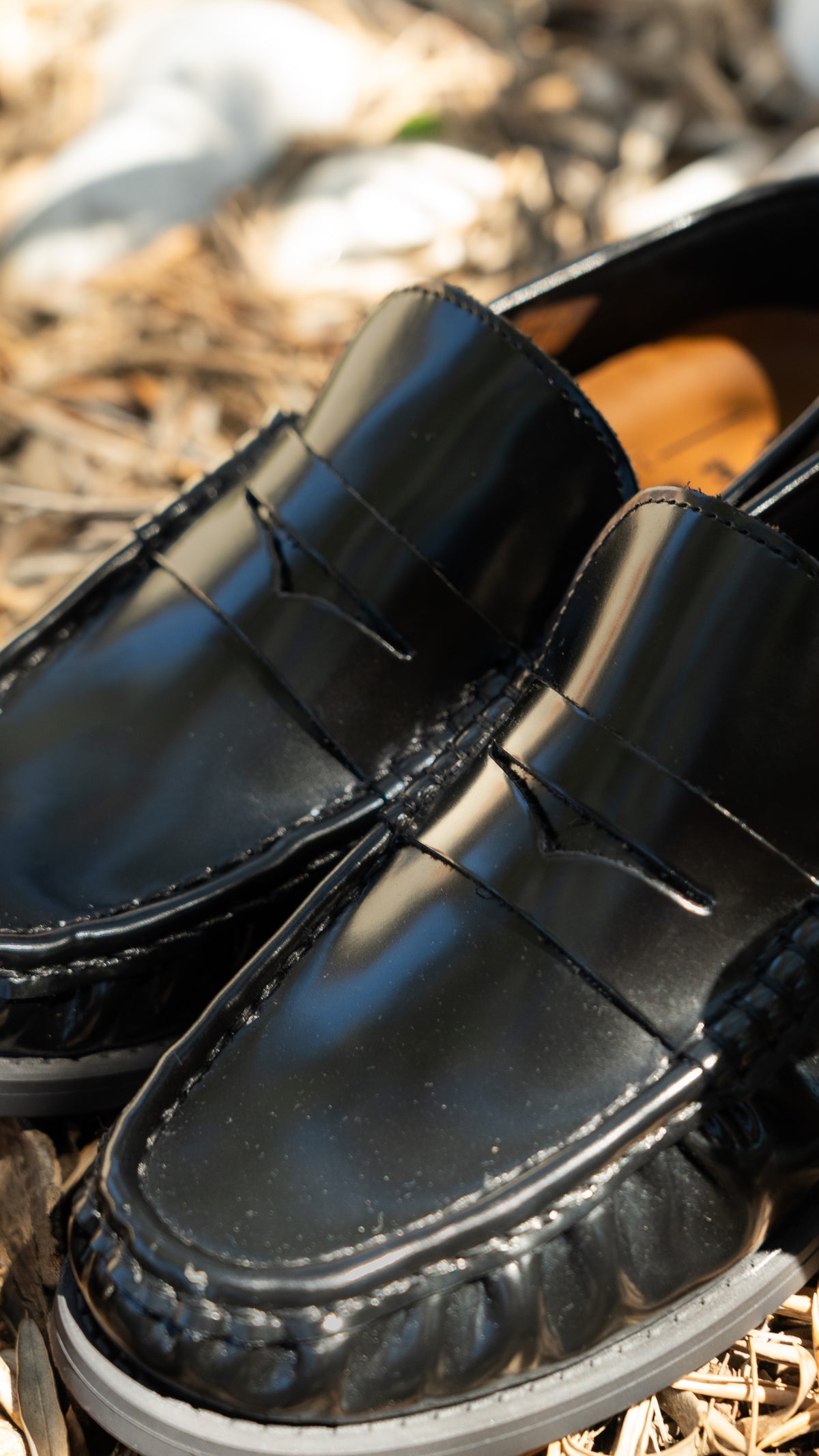 Chaussures PILLARA