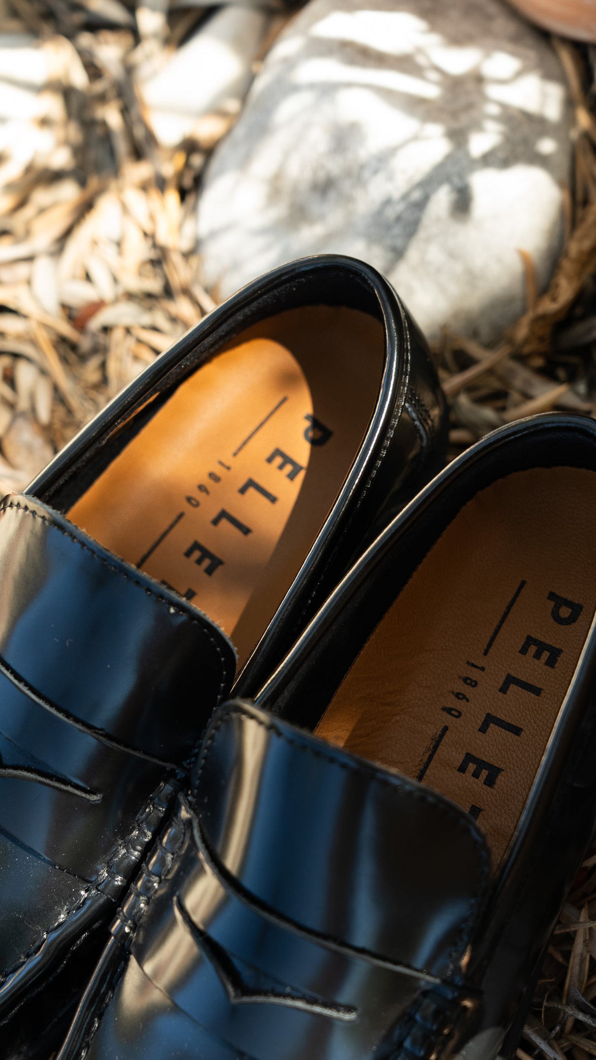 Chaussures PILLARA