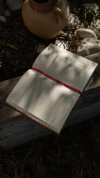 Carnet CROCODILE