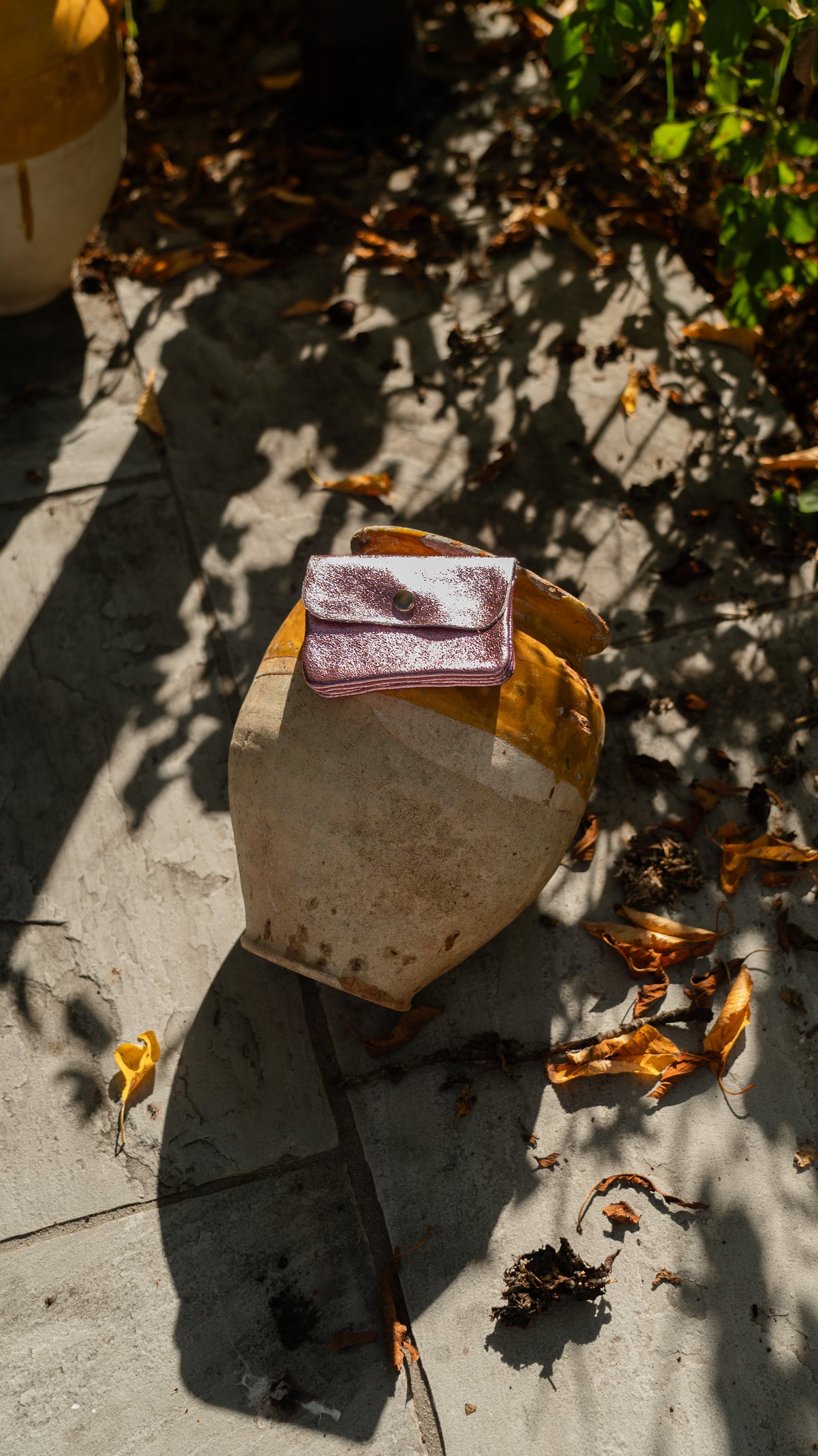 Porte-monnaie IRIS en cuir irisé
