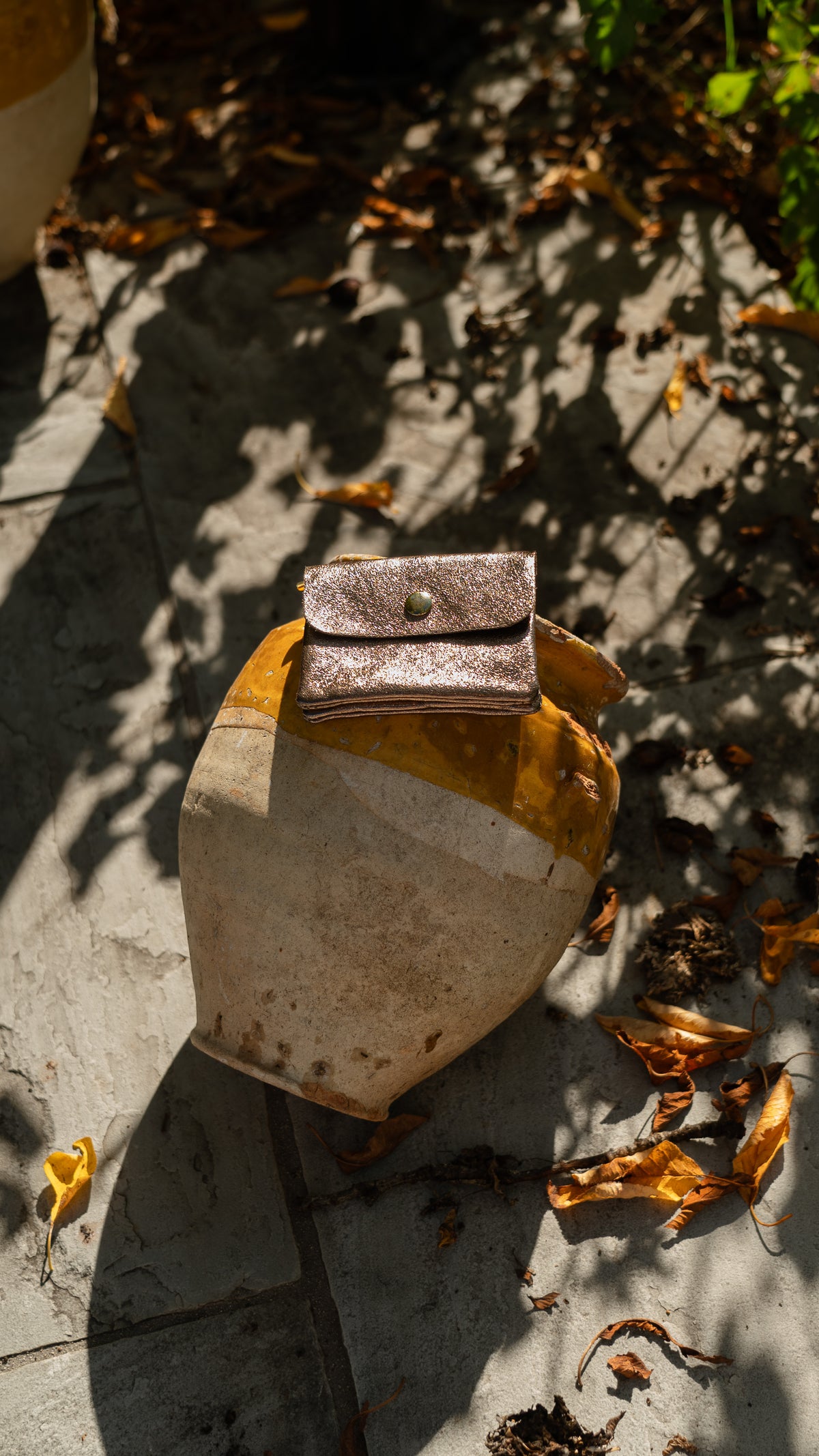 Porte-monnaie IRIS en cuir irisé