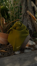 Foulard TBCo Olive