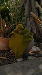Foulard TBCo Olive