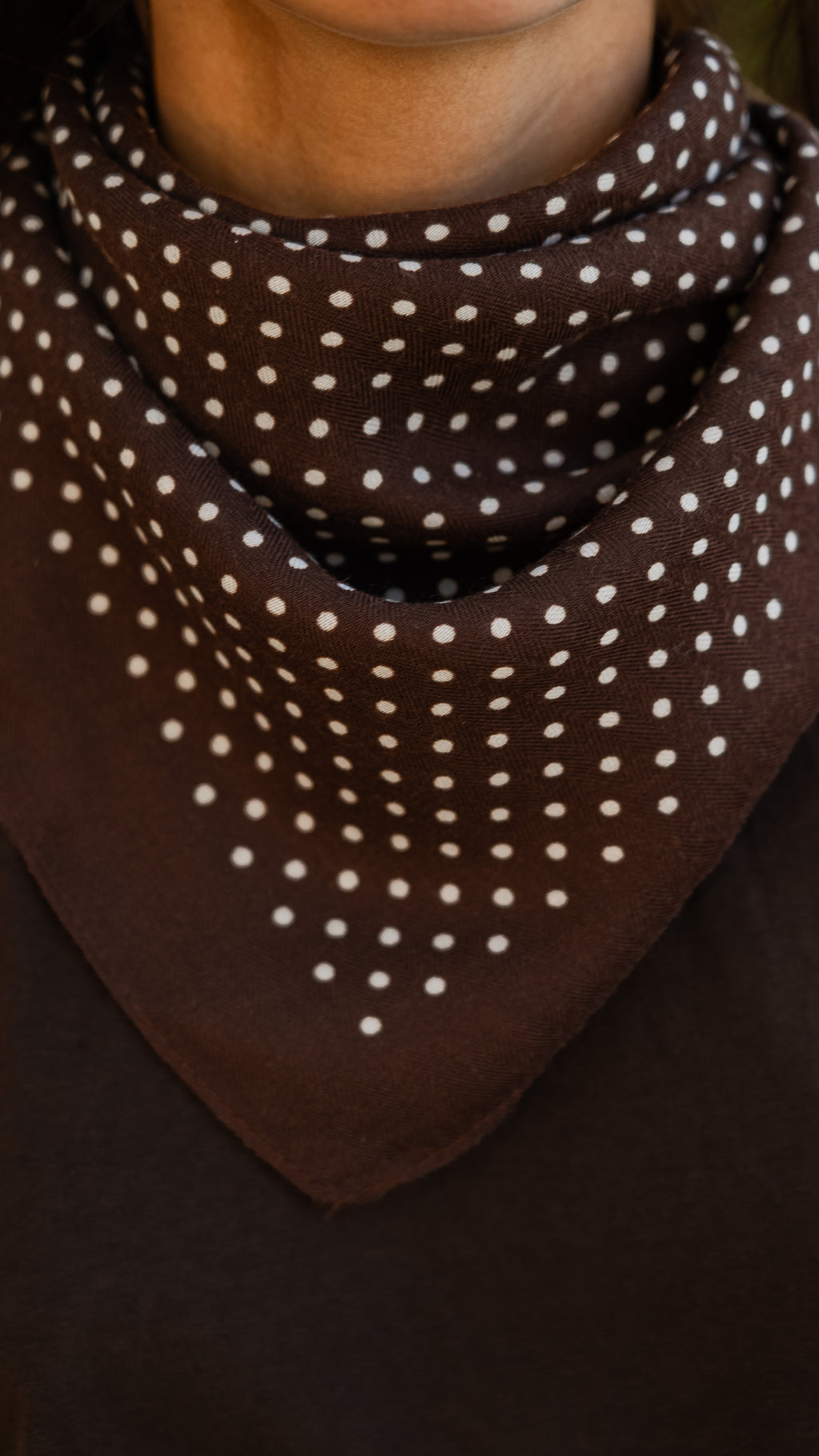 Foulard RAQUEL marron