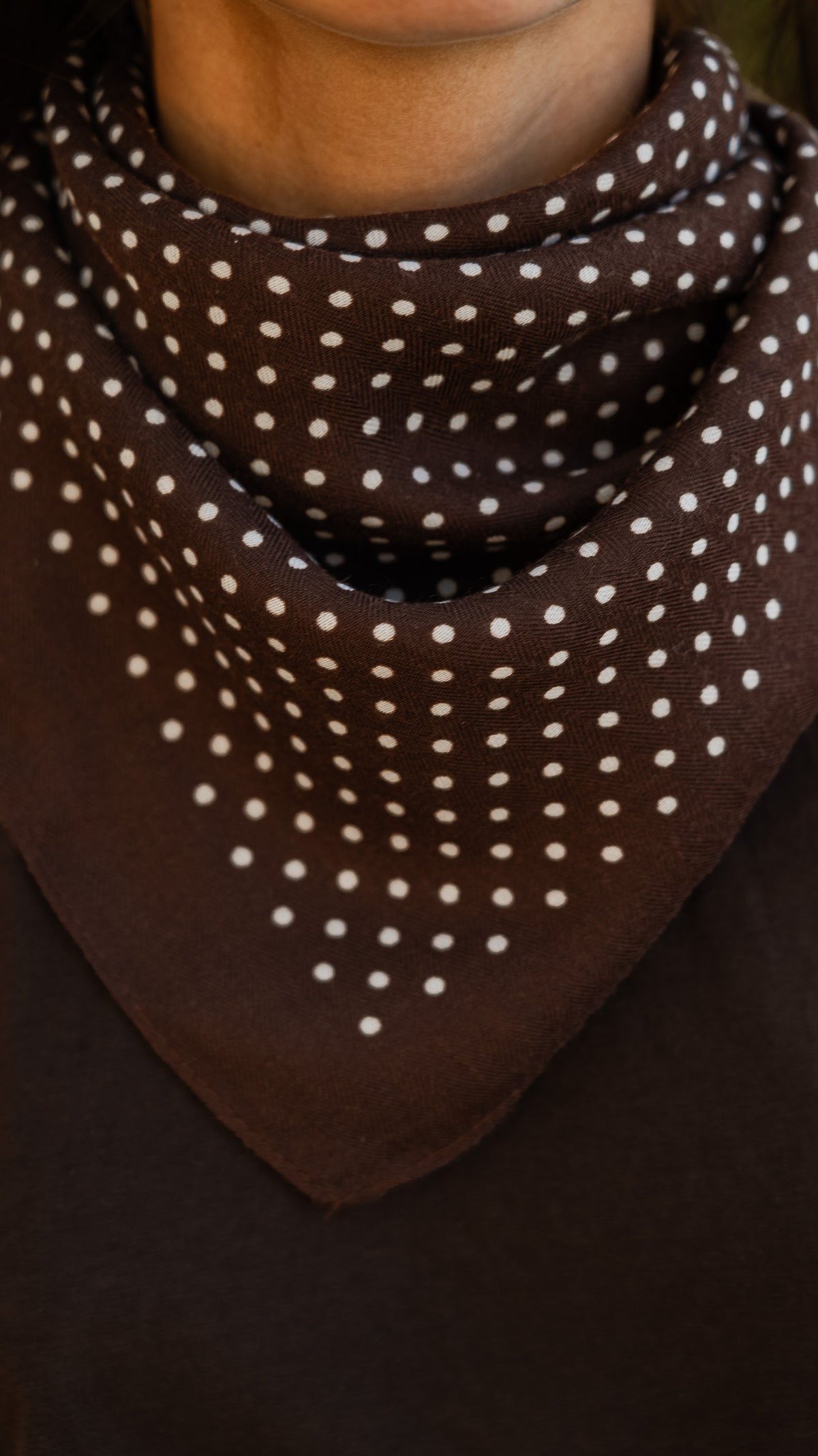 Foulard RAQUEL marron